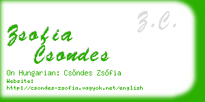 zsofia csondes business card