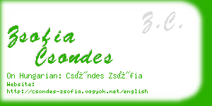 zsofia csondes business card